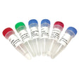 Mut Express II Fast Mutagenesis Kit V2 C214