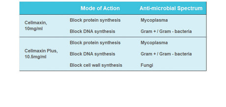 Cellmaxin, Anti-Mycoplasma, 10mg/ml