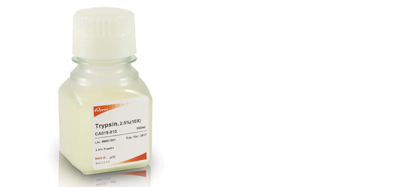 Trypsin, 2.5%(10X)