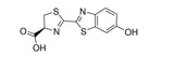 D-Luciferin, Potassium Salt
