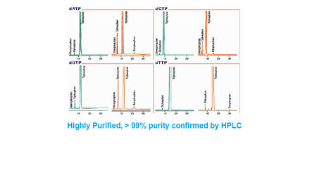 dTTP,100mM, Ultra Pure, > 99.5% by HPLC