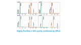 dNTP Mixtures ,25mM each , >99% by HPLC