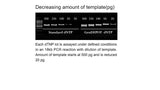 dNTP Mixtures ,25mM each , >99% by HPLC