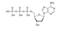 dATP,100mM, Ultra Pure, > 99.5% by HPLC
