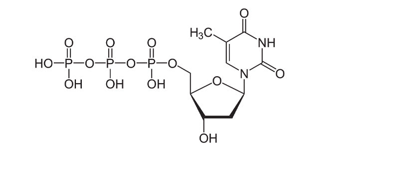 dTTP,100mM, Ultra Pure, > 99.5% by HPLC