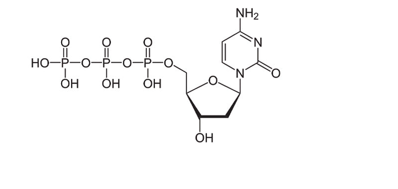 dCTP,100mM, Ultra Pure, > 99.5% by HPLC