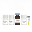 Dual Luciferase Reporter Assay Kit DL101