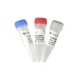 T7 Endonuclease I EN303