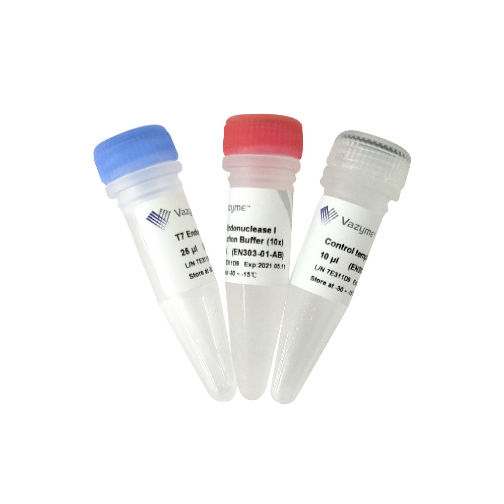 T7 Endonuclease I EN303