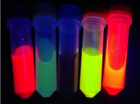 PEGylated DOPC/CHOL Liposomes labeled with DiA