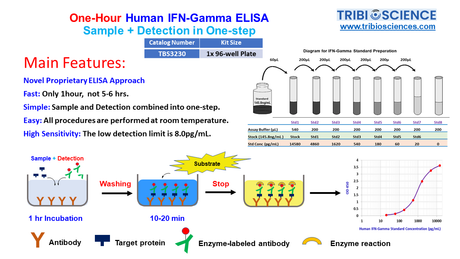 Tribo™ Human IFN γ ELISA Kit