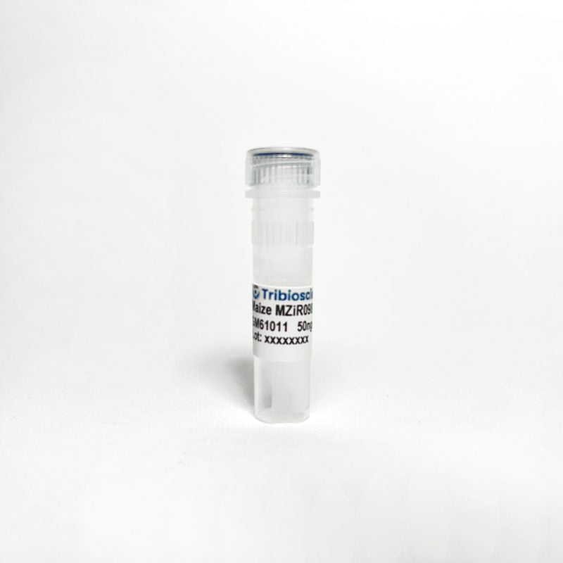 Maize MZIR098 Certified DNA, Concentration 50 ng/µL (GM61011)