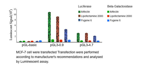 iMFectin DNA Transfection Reagent