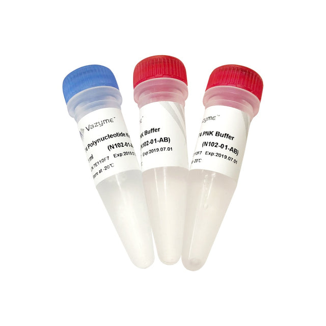 T4 Polynucleotide Kinase N102