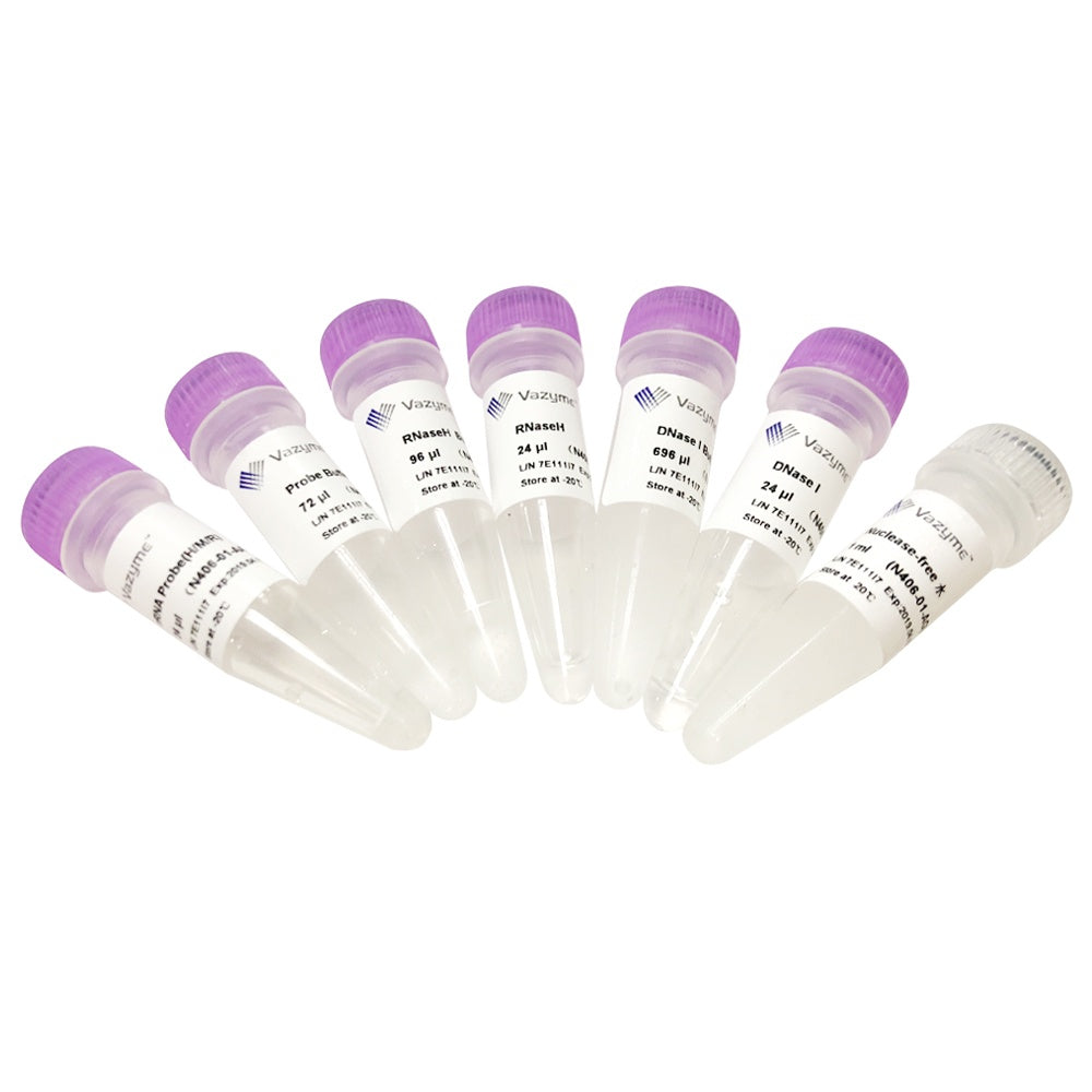 Ribo-off rRNA Depletion Kit (Human/Mouse/Rat) N406