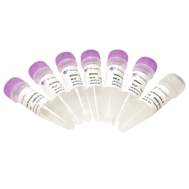 Ribo-off rRNA Depletion Kit (Human/Mouse/Rat) N406