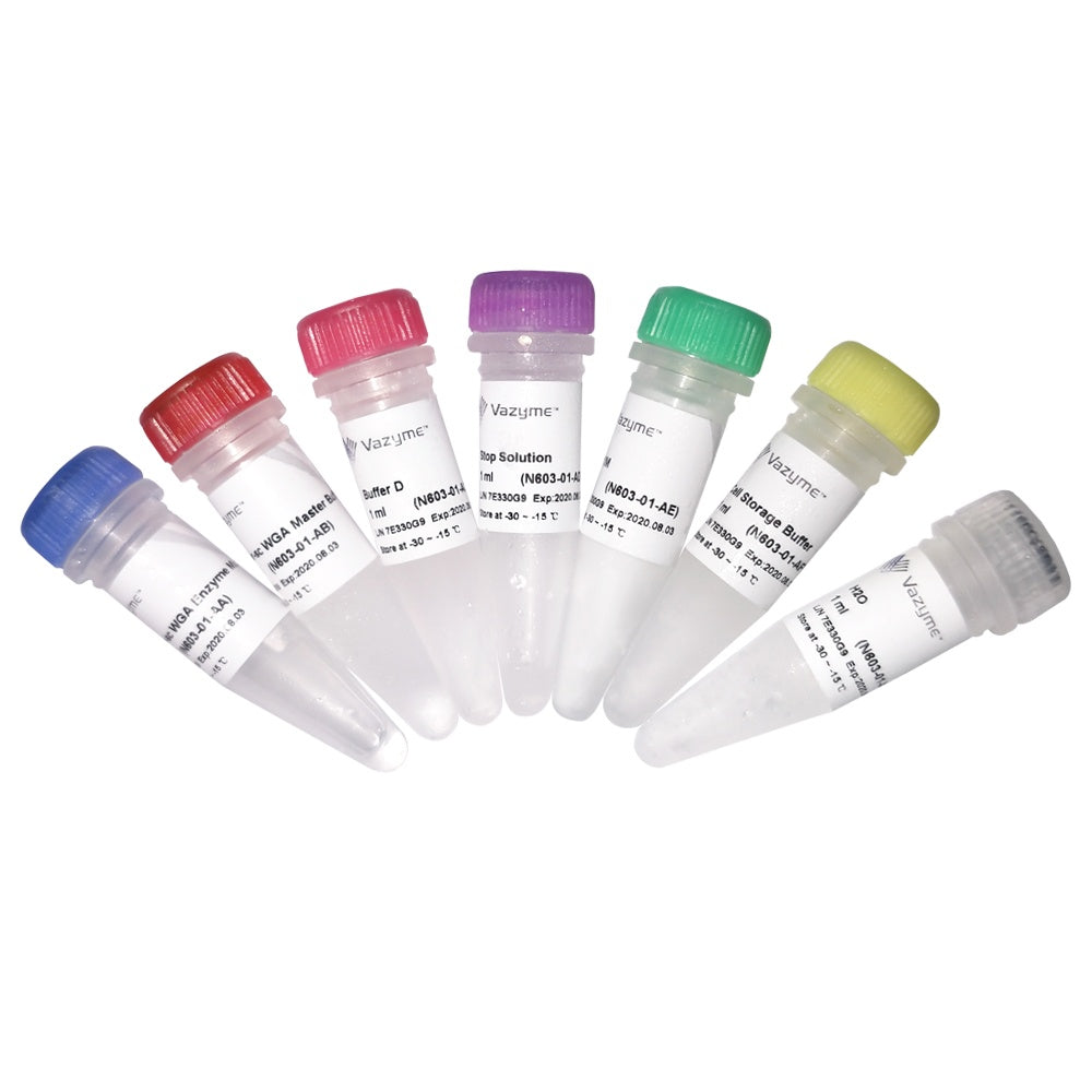Discover-sc Single Cell WGA Kit N603