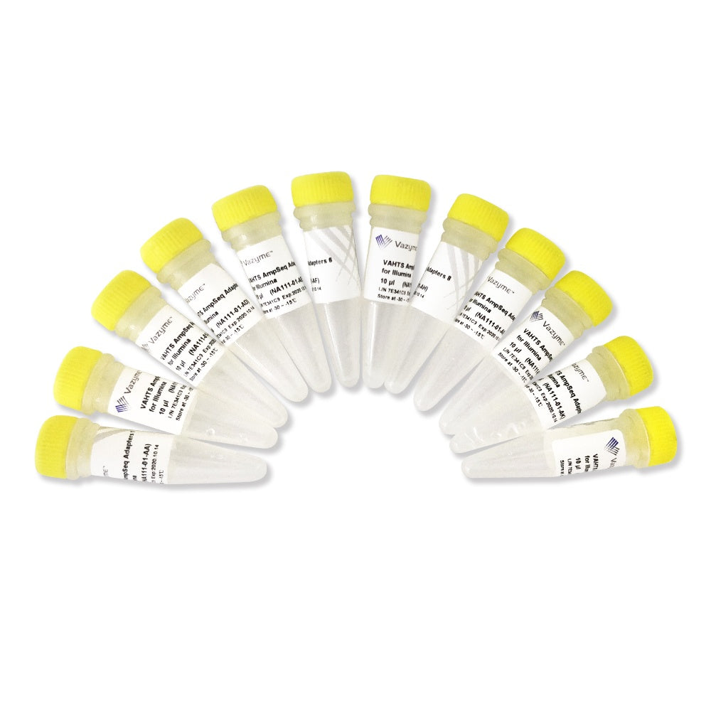 VAHTS AmpSeq Adapters for Illumina NA111