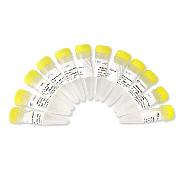 VAHTS AmpSeq Adapters for Illumina NA111