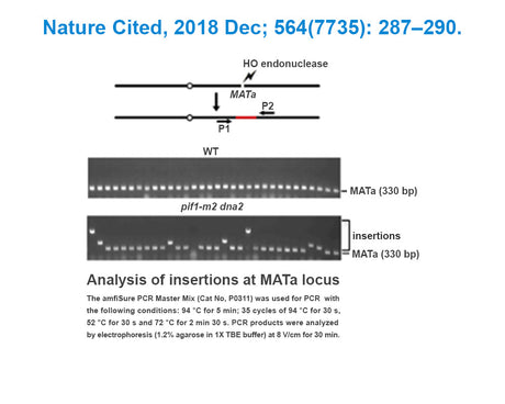 amfiSure PCR Master Mix(2X)