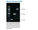 amfiSure PCR Premix Mix