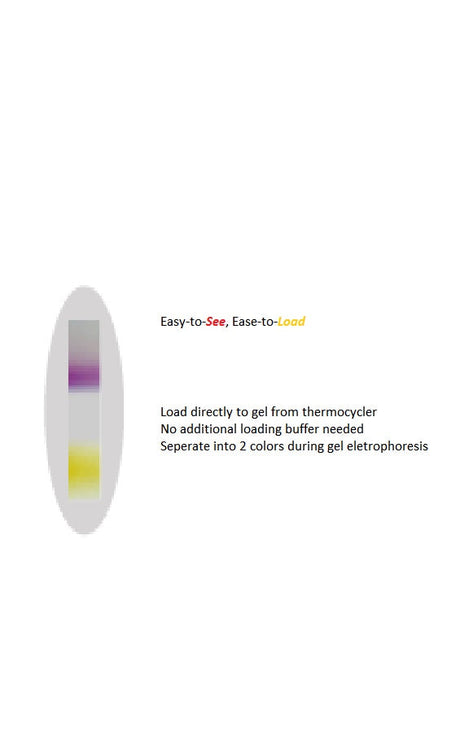 amfiSure Taq DNA Polymerase, 1unit/ul