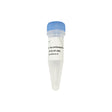 Champagne Taq antibody P121