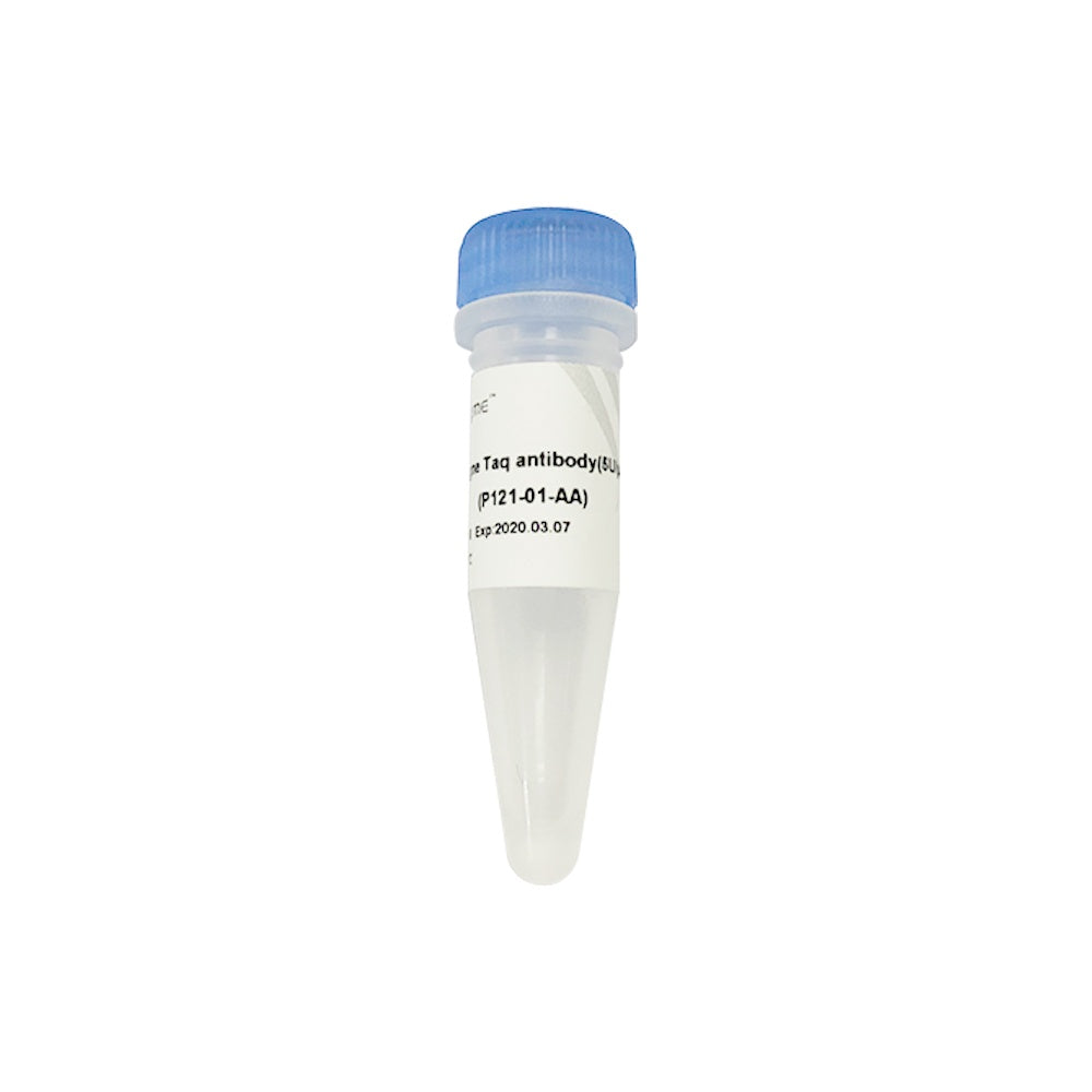 Champagne Taq antibody P121