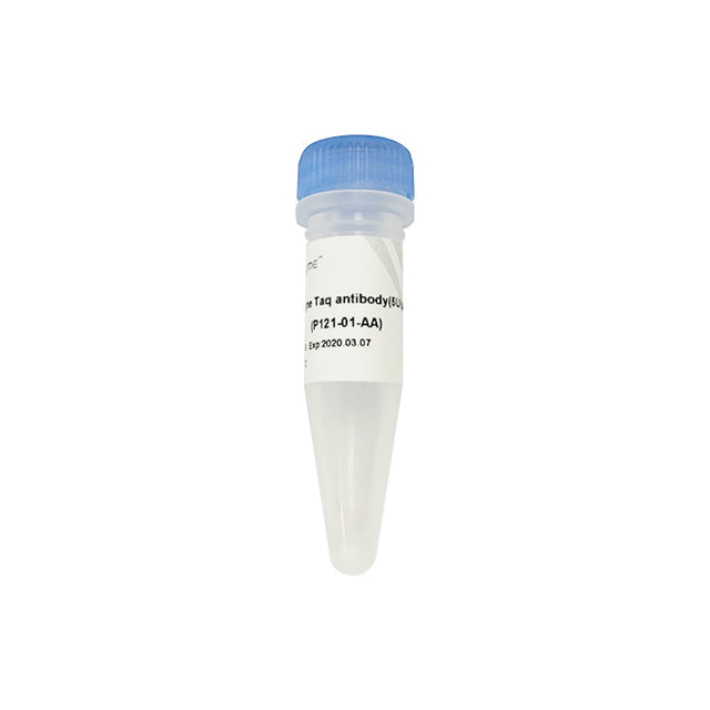 Champagne Taq antibody P121