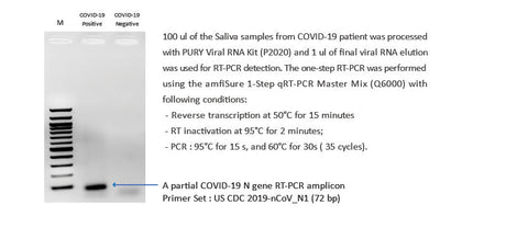 PURY Viral RNA Mini