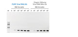 PURY Viral RNA Mini