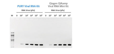 PURY Viral RNA Mini