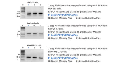 PURY RNA Plus