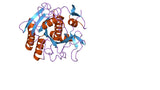 Proteinase K, 800 Units/ml
