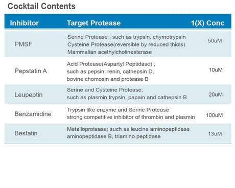 Xpert Protease Inhibitor Cocktail Solution (100X)