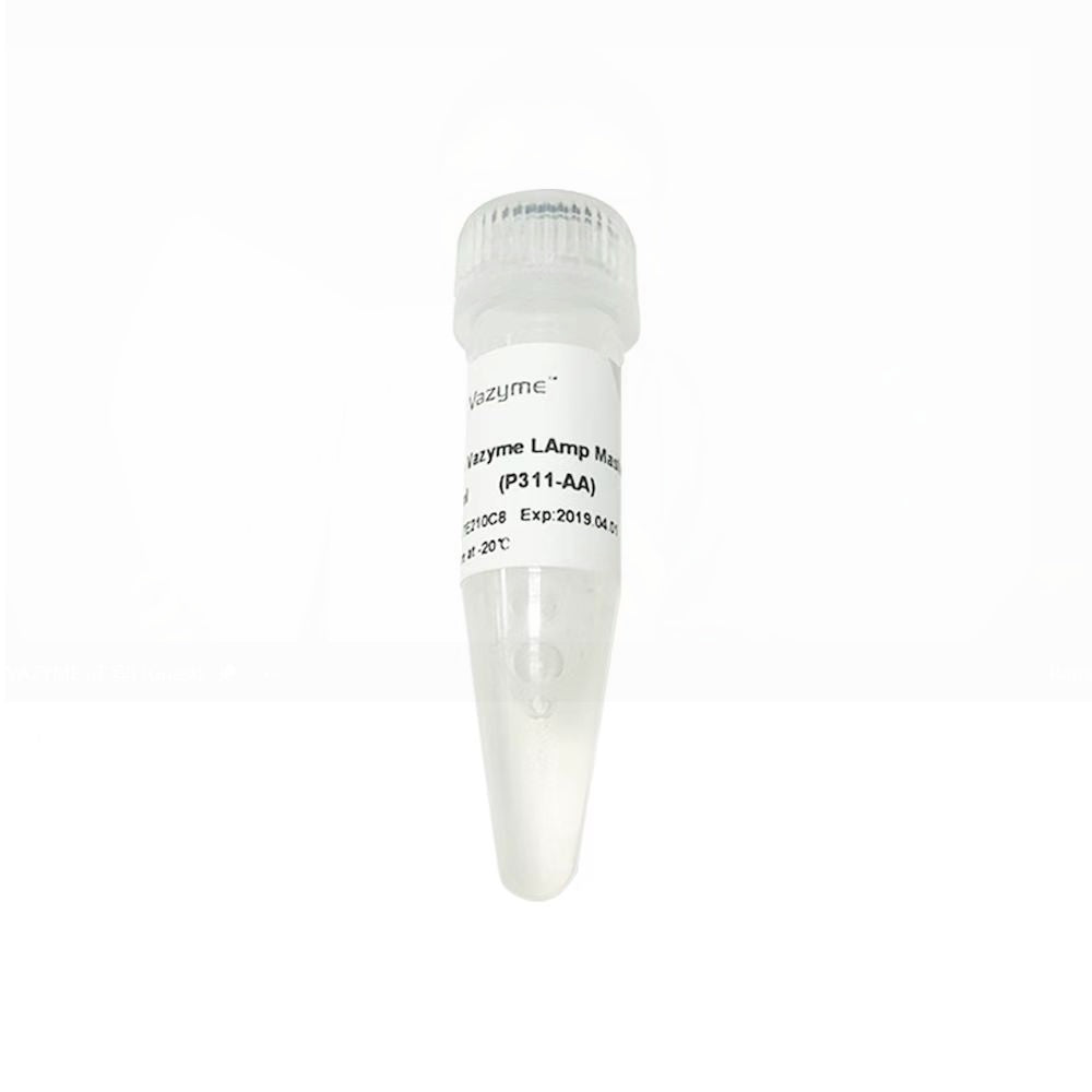 2 × Vazyme LAmp Master Mix P311