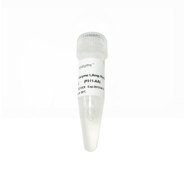 2 × Vazyme LAmp Master Mix P311