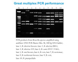 amfiSure ONE Taq DNA Polymerase, 1 unit/ul
