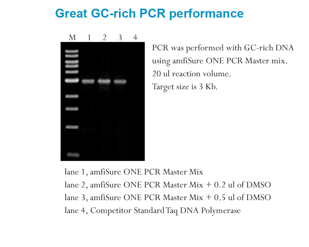 amfiSure ONE Taq DNA Polymerase, 1 unit/ul