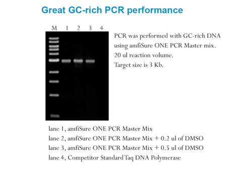 amfiSure ONE Taq DNA Polymerase, 1 unit/ul