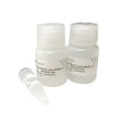 Plant Direct PCR Kit PD105