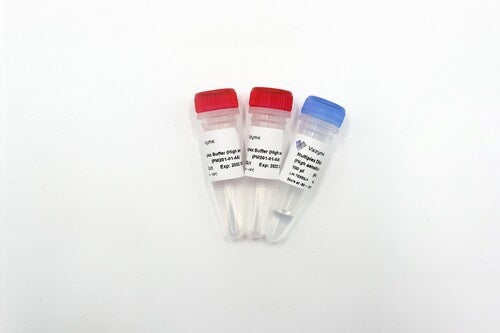 Taq Pro Multiplex DNA Polymerase PM201