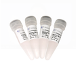 ChamQ SYBR qPCR Master Mix (High ROX Premixed) Q341
