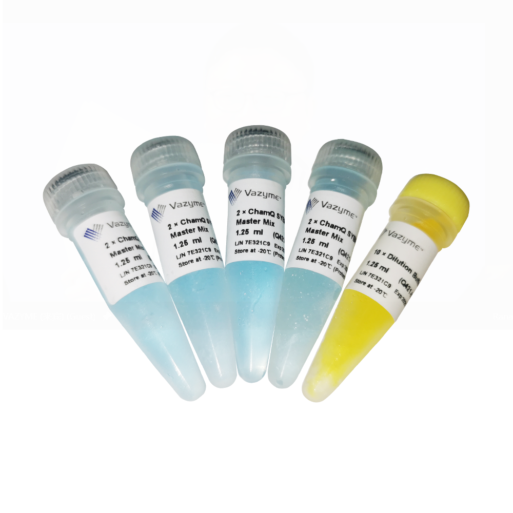 ChamQ SYBR Color qPCR Master Mix (Without ROX) Q421
