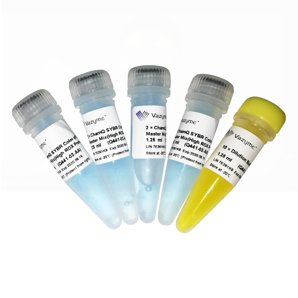 ChamQ SYBR Color qPCR Master Mix (High ROX Premixed) Q441