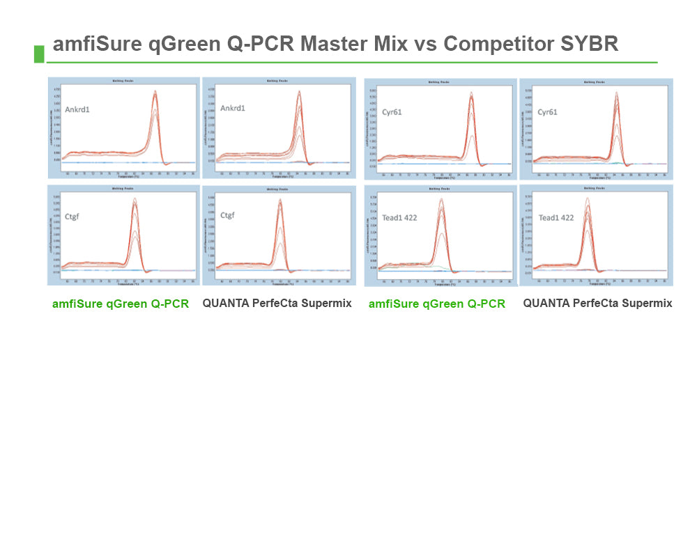 amfiSure qGreen Q-PCR Master Mix(2X), Without Rox
