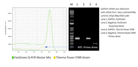 FastGreen Q-PCR Master Mix (2X), High Rox