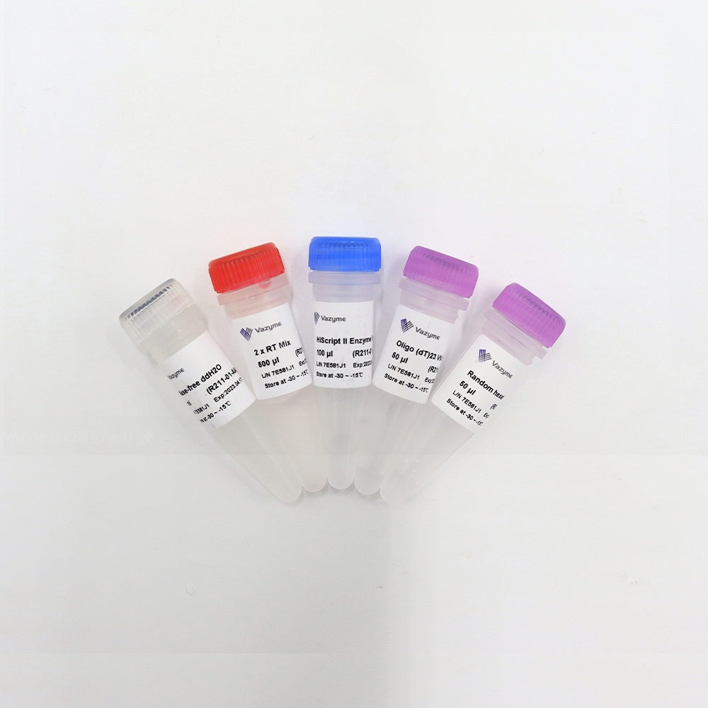 HiScript II 1st Strand cDNA Synthesis Kit R211