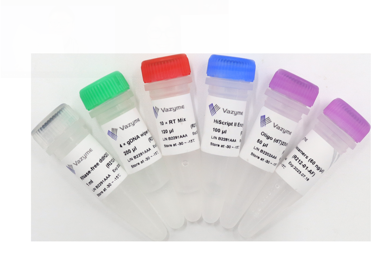 HiScript II 1st Strand cDNA Synthesis Kit (+gDNA wiper) R212