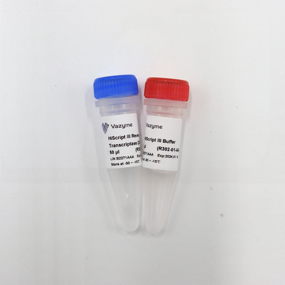 HiScript III Reverse Transcriptase R302